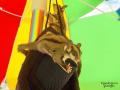 1226770861 sugar glider004