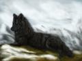 black snow by cottondragon