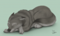 1339145503.hakuwolf haku sleep