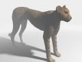 Gepard [3DS MAX]