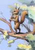 Squirrel on a tree...stMouse