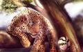 leopardsketch by W...ss .jpg