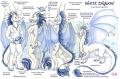 White Dragon Refer... KaceyM