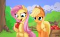 my-little-pony-...1007841