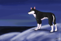 shadowdhusky1 by Spits