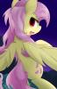 fluttershy-mane-6-...1008252
