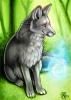 ACEO wingedwolf resized