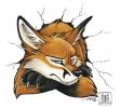 1253980819.tanidar...uck-fox