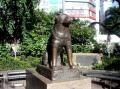hachiko 01