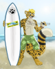 surfercat resized