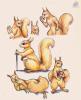 Squirrels by DekabristMouse