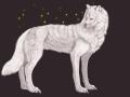 A white wolf by cottondragon