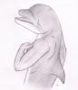 1220732317.dolphin...dolphin
