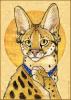 1234389826.synnaba...pserval