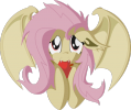 fluttershy-mane-6-...1020055