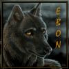 EbonIcon resized