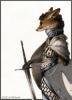 Fox Knight by Zeth...- 