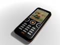 Phone W610i.jpg